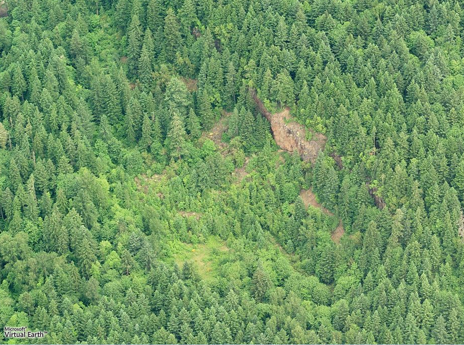 Madrone Wall, Clackamas County, Oregon