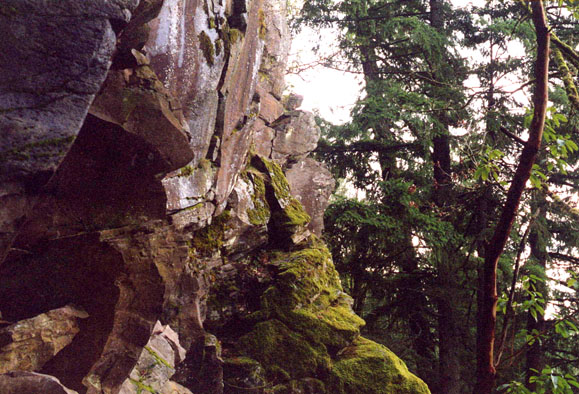 Madrone Wall, Clackamas County, Oregon