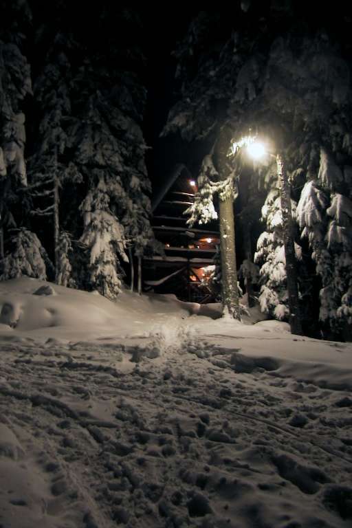 Stevens Lodge